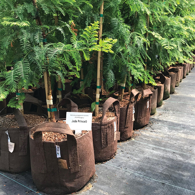 Brown Fabric Planter with Handles - 5 Pack