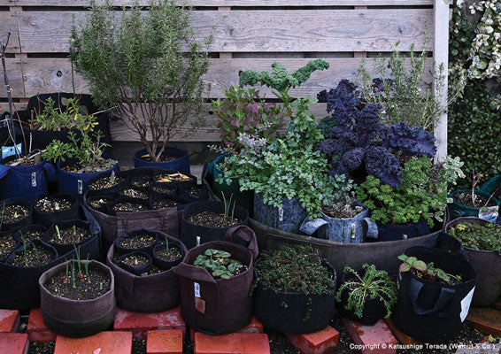 Fabric Planter Veggies Kit