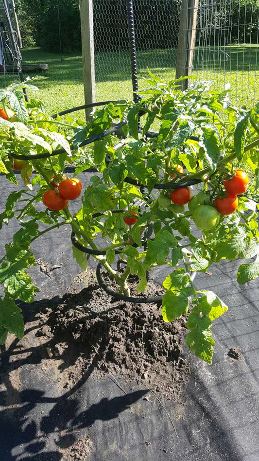 EZ STEP-IN POSTS, MIDNIGHT BLACK