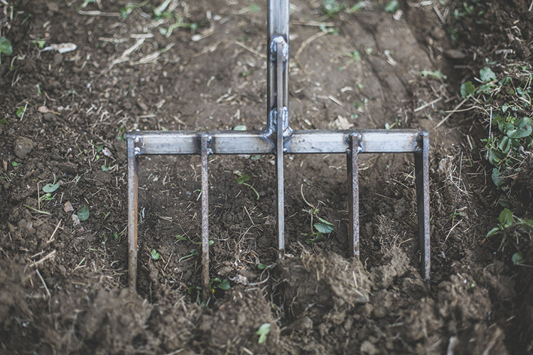 5-TINE MINI FORK WITH T-HANDLE