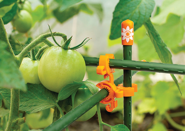 5-Foot C-Bite Plant Support Kit