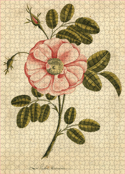 John Derian Garden Rose Puzzle