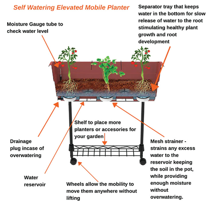 Elevated Mobile Planter