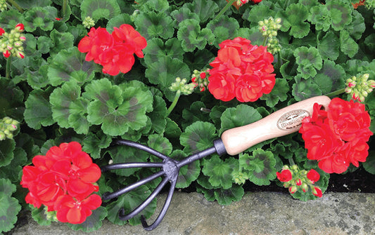 Short Handle 5-Tine Cultivator