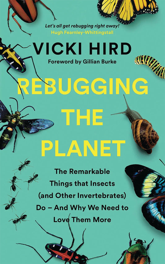 Rebugging The Planet