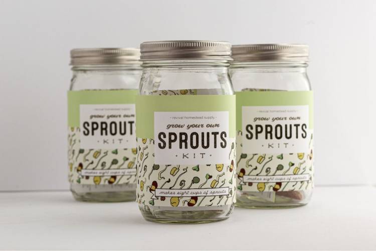 SPROUTING KIT: GROW YOUR OWN SPROUTS