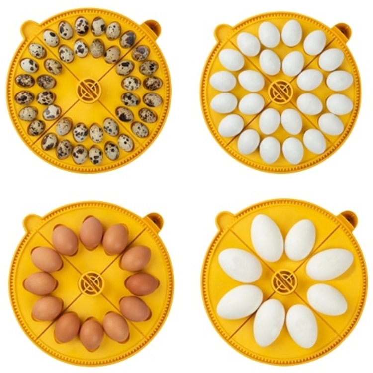 Maxi 24 Advance Fully Digital 24 Egg Incubator