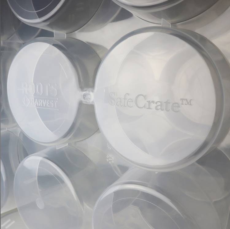 Canning Jar SafeCrates