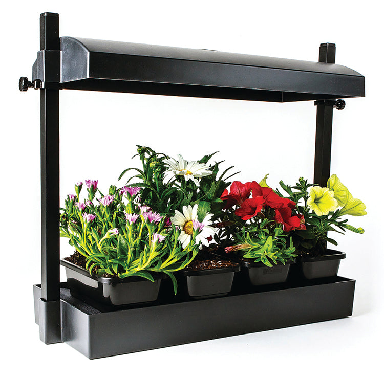 Micro LED Grow Light Garden, Black