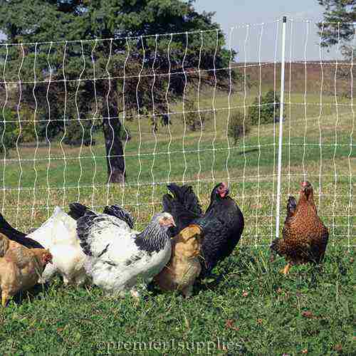 PoultryNet Plus 12/48/3 Kits (Black/White)