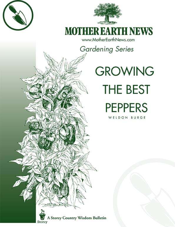 Growing The Best Peppers, E-Handbook
