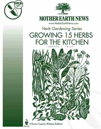 Growing 15 Herbs For The Kitchen, E-Handbook