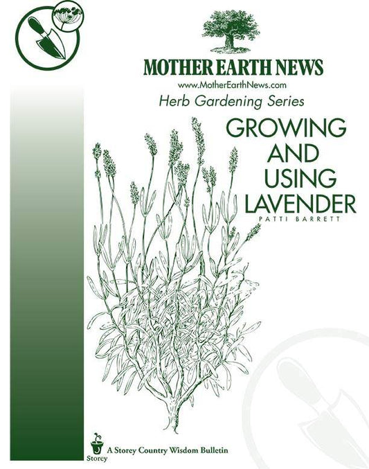 Growing And Using Lavender, E-Handbook