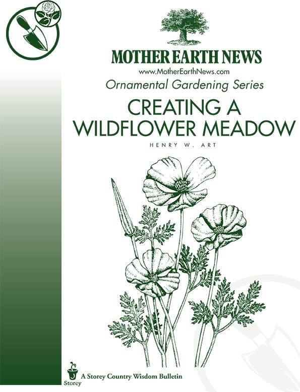 Creating A Wildflower Meadow, E-Handbook