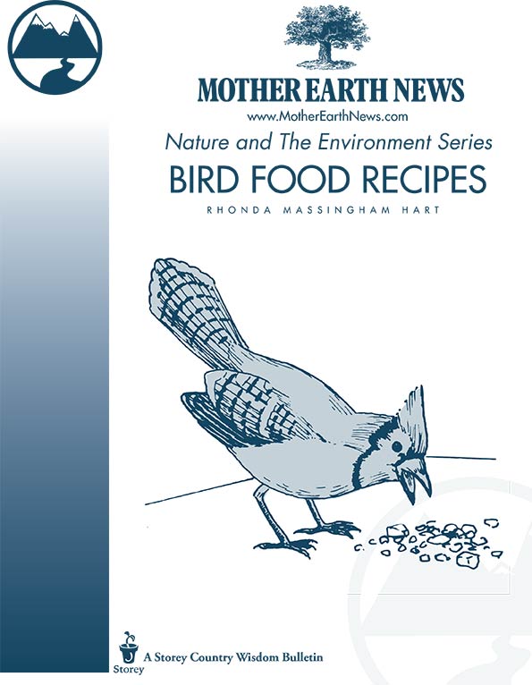 Bird Food Recipes, E-Handbook