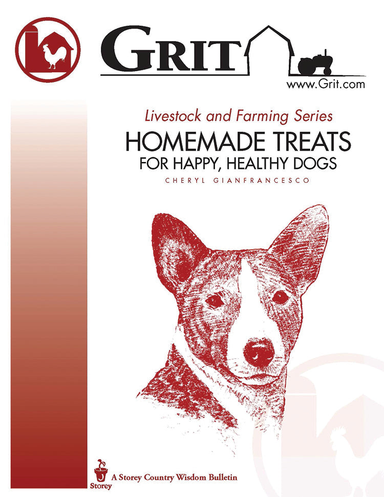 HOMEMADE TREATS FOR HAPPY, HEALTHY DOGS, E-HANDBOOK