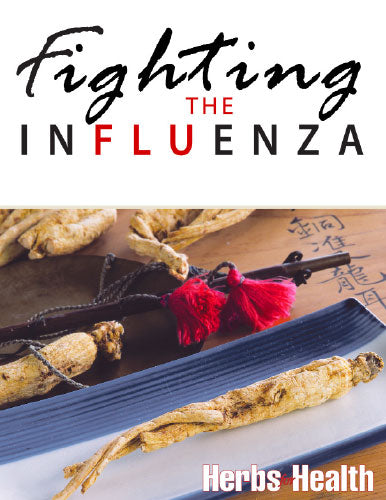 Fighting The Influenza, E-Book