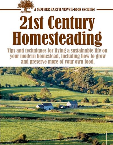 21st Century Homestead, E-Book