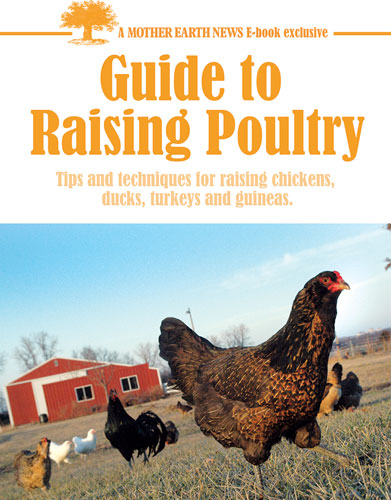Mother Earth News: Guide To Raising Poultry, E-Book