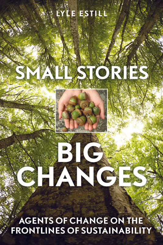 Small Stories, Big Changes