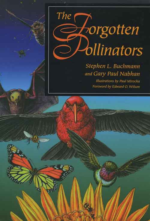 The Forgotten Pollinators