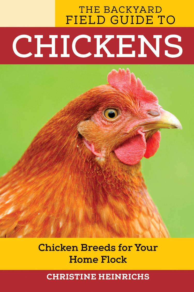 Backyard Field Guide To Chickens