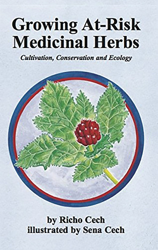 Making Plant Medicine Set
