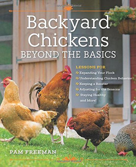 Backyard Chickens: Beyond The Basics
