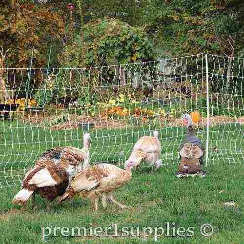 PoultryNet Plus 12/48/3 Starter Kit (Black/White)
