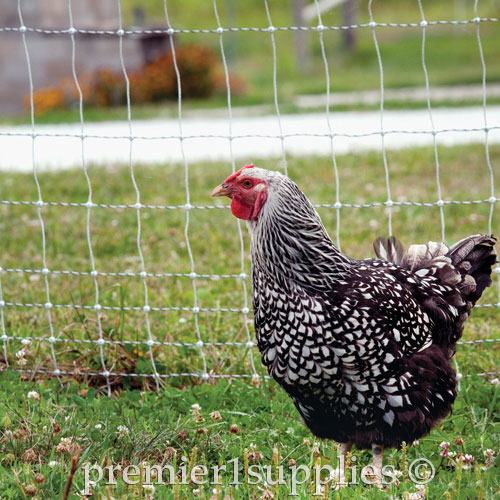 PoultryNet Plus 12/48/3 Starter Kit (Black/White)