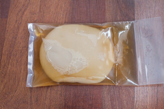 Kombucha Scoby Culture With Starter Liquid