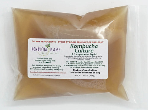 Kombucha Scoby Culture With Starter Liquid