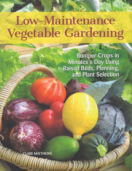 Low-Maintenance Vegetable Gardening