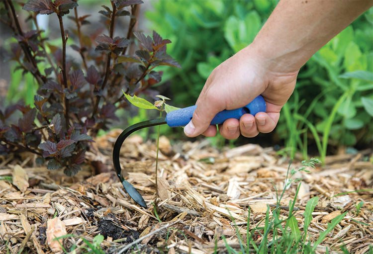 Ogden Cobrahead Mini Weeder & Cultivator Garden Tool