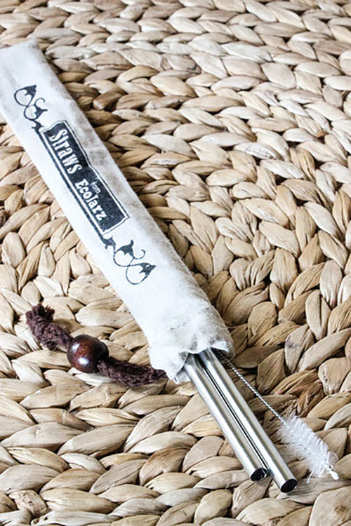 Stainless Steel Smoothie Straw Set