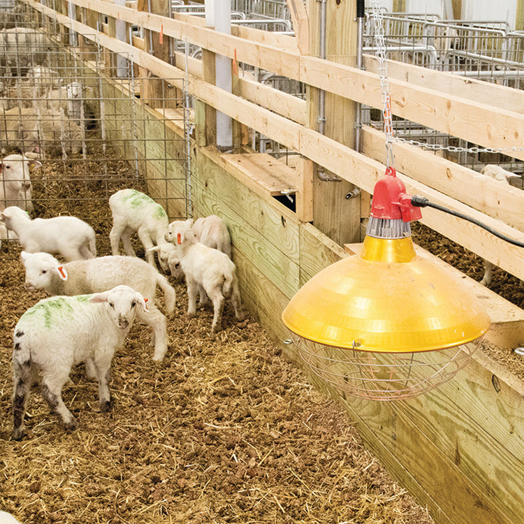 1200 Watt Carbon Fiber Heater With 16" Dia Shade