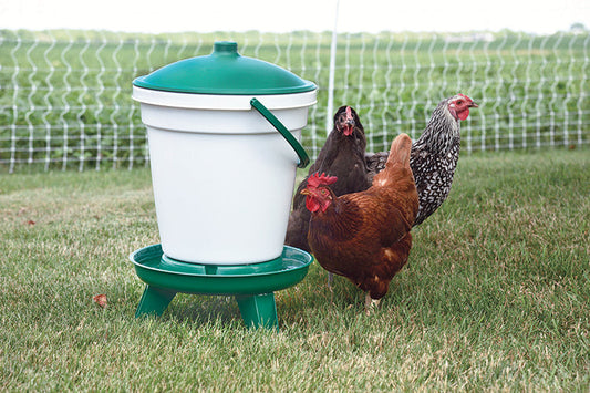 5-Gallon QuikClean Waterer