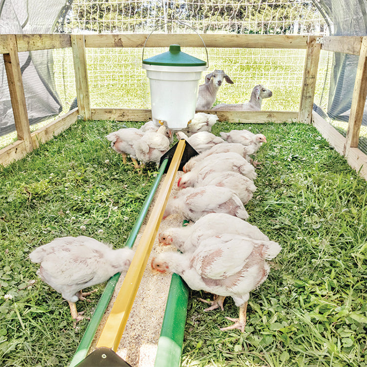 Bucket Nipple Waterer, 3-Gallon