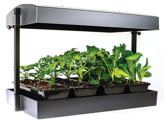 T5 Grow Light Garden, Black