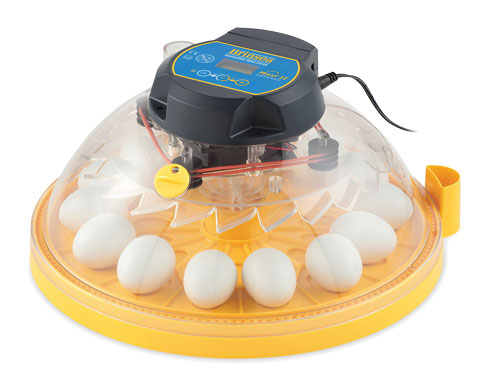 MAXI II ADVANCE, FULLY DIGITAL 14 EGG INCUBATOR