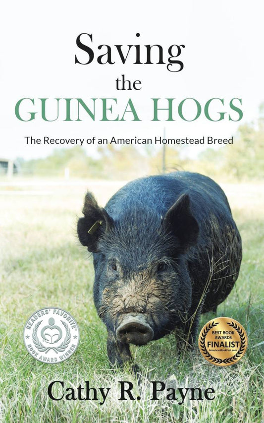 Saving The Guinea Hog: The Recovery Of The American Homestead Breed