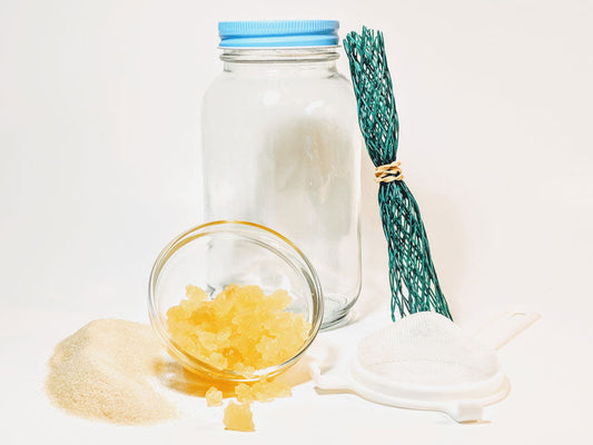 Water Kefir Complete Starter Set