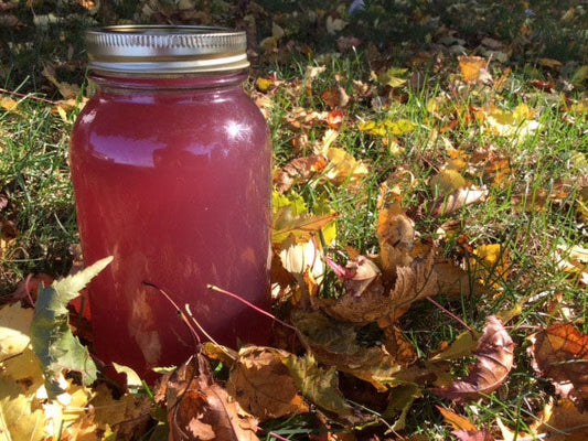 Water Kefir Basic Starter Set