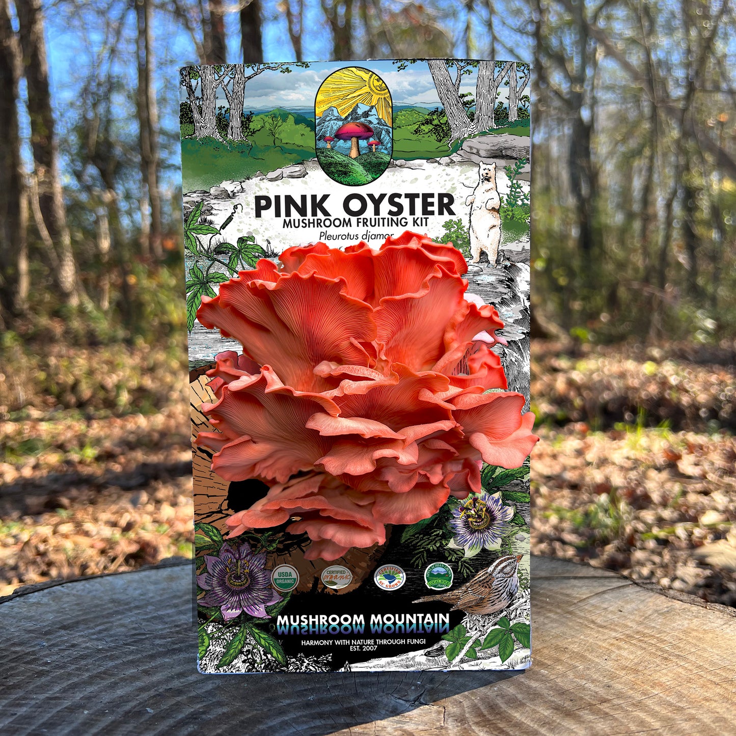 Oyster Mushroom Fruiting Kit