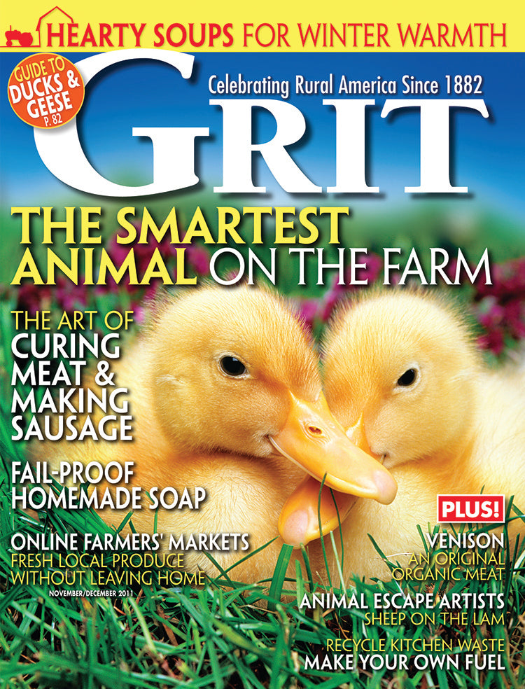 Grit Magazine, November/December 2011