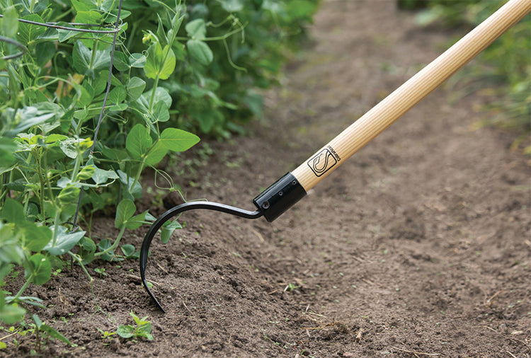 Ogden Cobrahead Long Handle Weeder & Cultivator Garden Tool