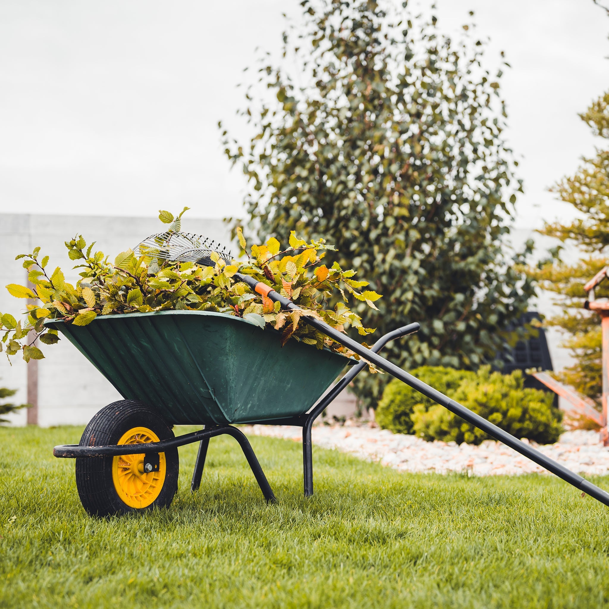 Welcome to Our Store