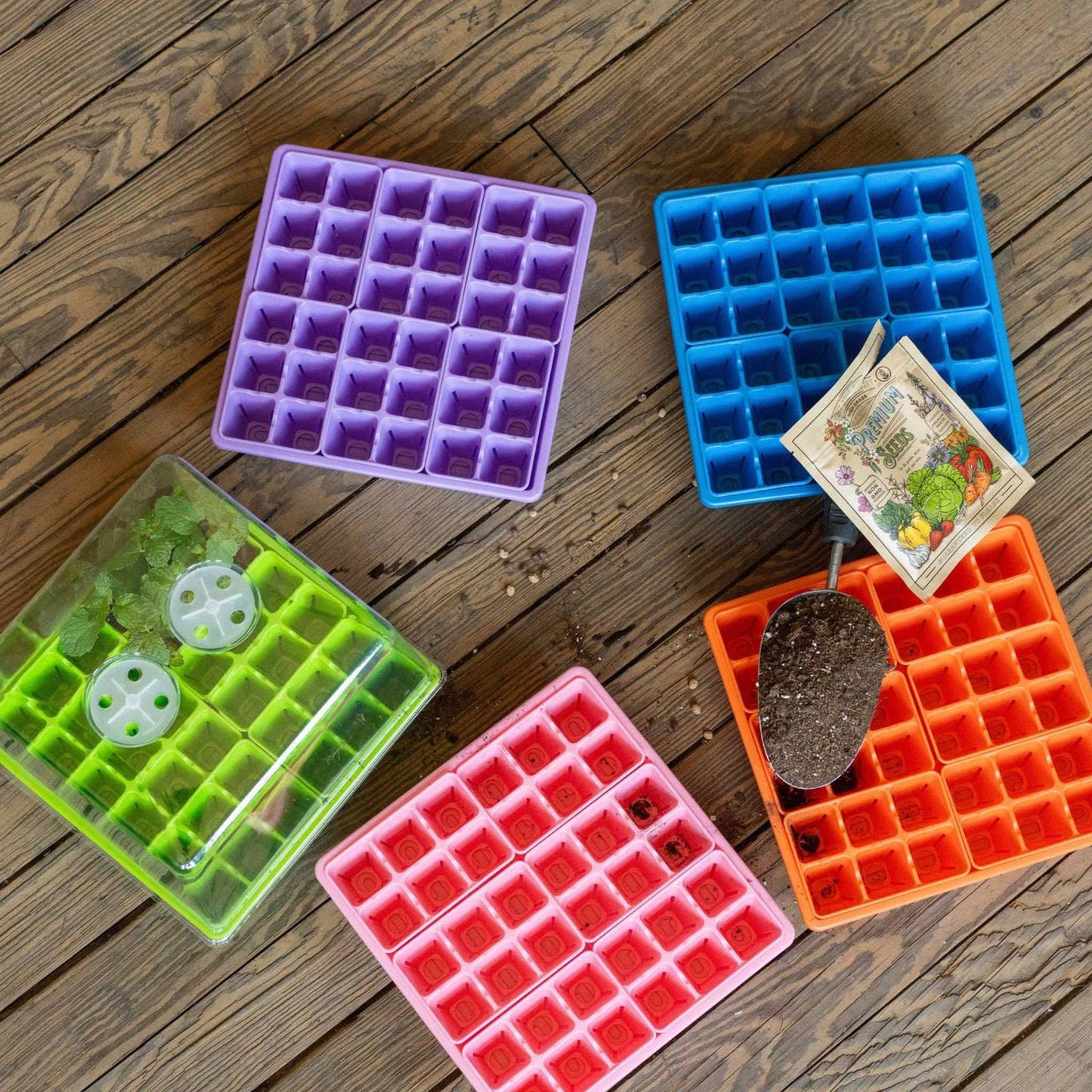 Seed Starting Workshop Bundle