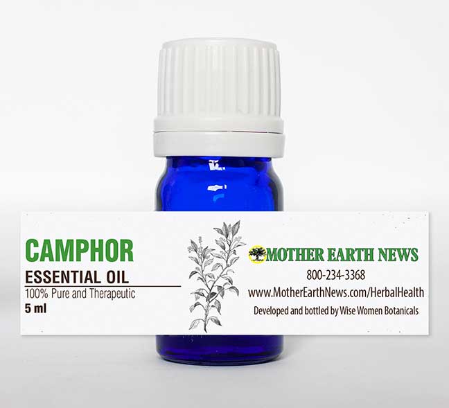 CAMPHOR ESSENTIAL OIL