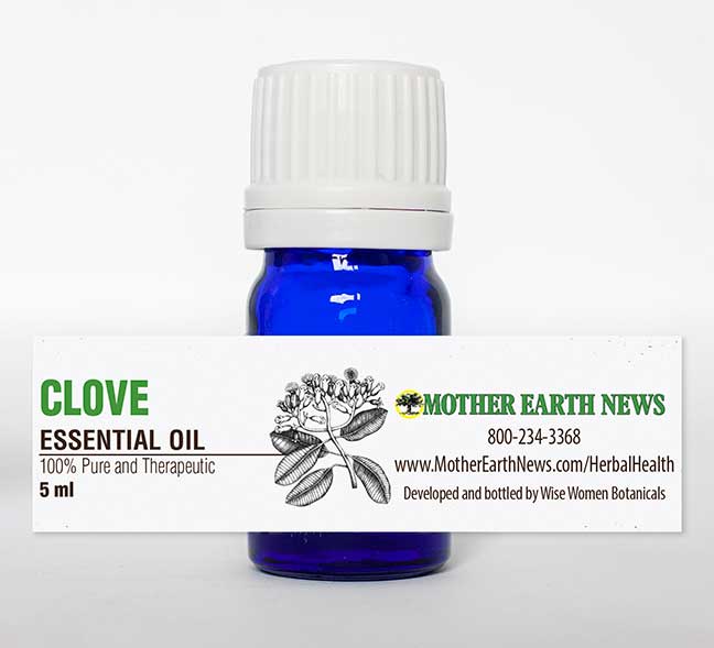 CLOVE ESSENTIAL OIL